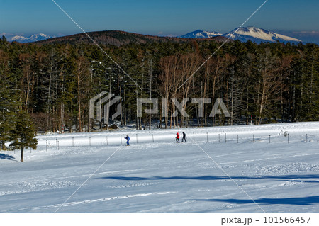 八ヶ岳連峰・麦草峠の雪原を行くハイカーと浅間山の眺め 八ヶ岳連峰・麦草峠の雪原を行くハイカーと浅間山の眺め 101566457