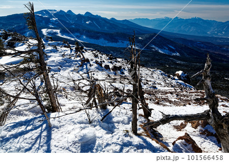 冬の北八ヶ岳・茶臼山から見る八ヶ岳主峰群と南アルプス 101566458