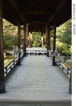 回棹廊 渉成園 東本願寺飛地 回棹廊 渉成園 東本願寺飛地 101566608