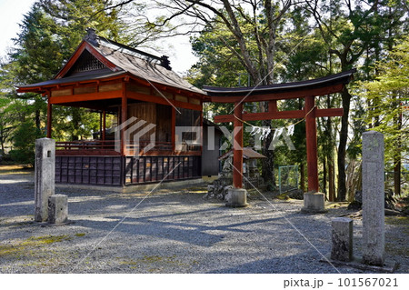 椋神社 埼玉県秩父市下吉田 椋神社 埼玉県秩父市下吉田 101567021