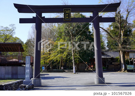 椋神社 埼玉県秩父市下吉田 椋神社 埼玉県秩父市下吉田 101567026