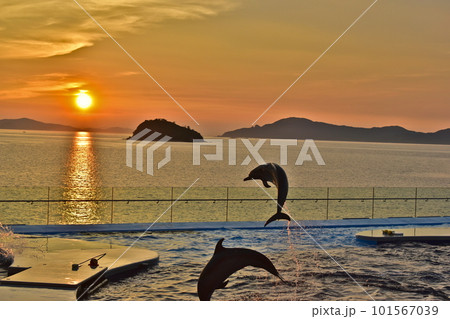 夕日 夕焼け 水族館 香川 香川県 プール イルカプール イルカ 四国