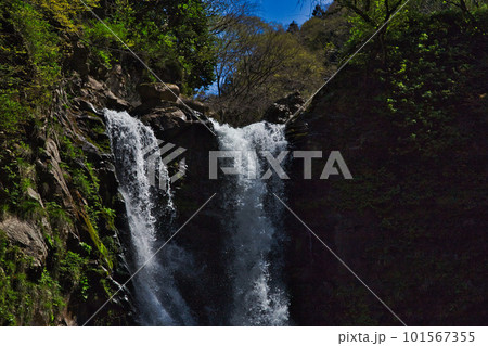早春を迎えた五太子の滝 101567355