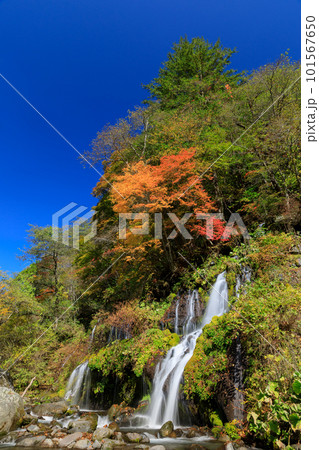 山梨_川俣川渓谷_紅葉と快晴の吐竜の滝 101567650