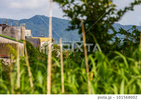 静岡県掛川市本郷　天竜浜名湖鉄道と沿線の風景 101568002
