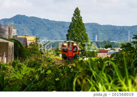 静岡県掛川市本郷　天竜浜名湖鉄道と沿線の風景 101568019