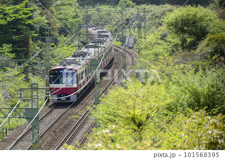 新緑の中を走る京急【京急600形】逗子葉山行き急行 新緑の中を走る京急【京急600形】逗子葉山行き急行 101568395