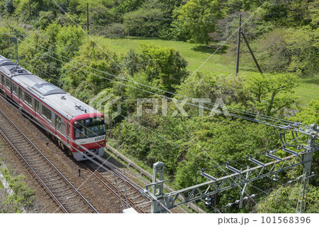 新緑の中を走る京急【京急1000形】エアポート急行 101568396