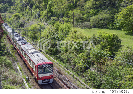 新緑の中を走る京急【京急1000形】逗子葉山行き急行 101568397