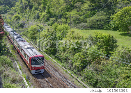 新緑の中を走る京急【京急1000形】逗子葉山行き急行 新緑の中を走る京急【京急1000形】逗子葉山行き急行 101568398