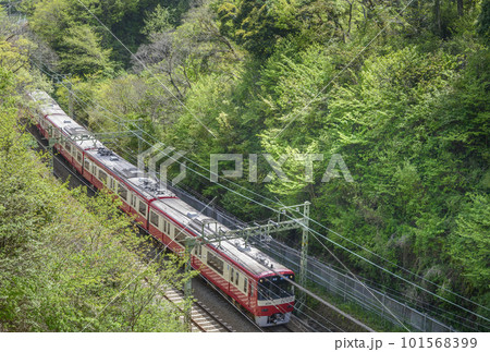 新緑の中を走る京急【京急1000形】金沢文庫行き普通 101568399