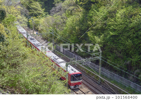 新緑の中を走る京急【京急1000形】逗子葉山行き普通 新緑の中を走る京急【京急1000形】逗子葉山行き普通 101568400
