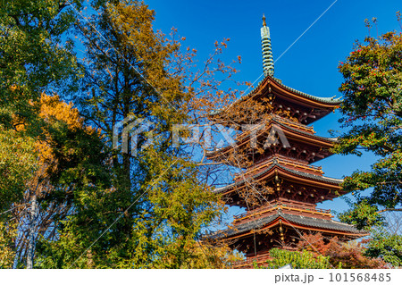 【東京の都市風景】秋の上野東照宮周辺の景観 101568485
