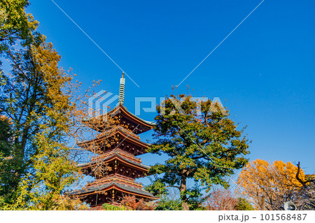 【東京の都市風景】秋の上野東照宮周辺の景観 【東京の都市風景】秋の上野東照宮周辺の景観 101568487