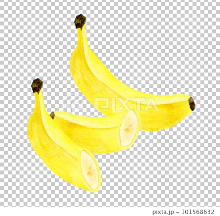 Banana cut in half fruit hand-painted watercolor illustration material Banana cut in half fruit hand-painted watercolor illustration material 101568632