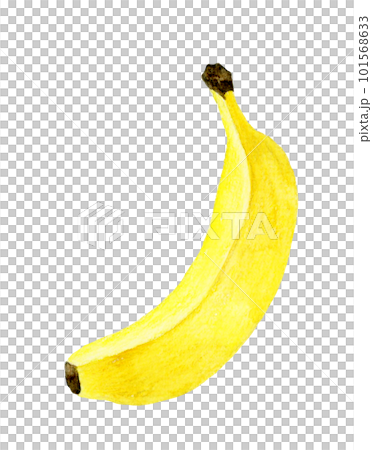 One yellow banana fruit hand-painted watercolor illustration material One yellow banana fruit hand-painted watercolor illustration material 101568633