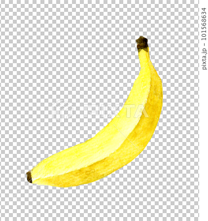 One yellow banana fruit hand-painted watercolor illustration material One yellow banana fruit hand-painted watercolor illustration material 101568634