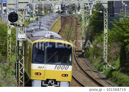 カーブを走る京急【京急1000形】イエローパッピートレイン 101568719