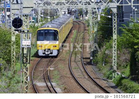カーブを走る京急【京急1000形】イエローパッピートレイン 101568721