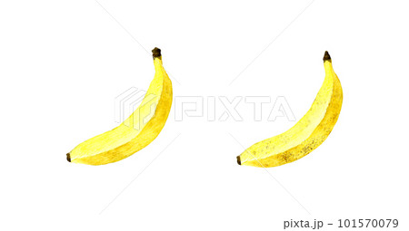 熟れる前と熟れた後の黄色いバナナ フルーツの手描き水彩イラスト素材 熟れる前と熟れた後の黄色いバナナ フルーツの手描き水彩イラスト素材 101570079