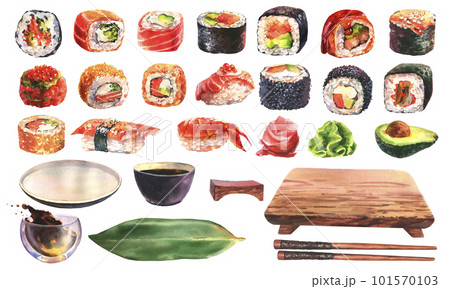 Large set of different types of sushi, sushi dishes, soy sauce, wasabi, ginger, chopsticks. Hand drawn japanese food in watercolor isolated on white background. Ilustration for asian menu. 101570103