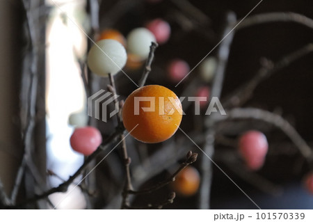枝にカラフルに飾られた餅花の風景 枝にカラフルに飾られた餅花の風景 101570339