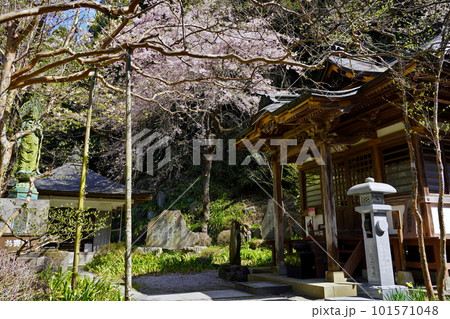 第三十四番　日沢山　水潜寺　埼玉県秩父郡皆野町 101571048