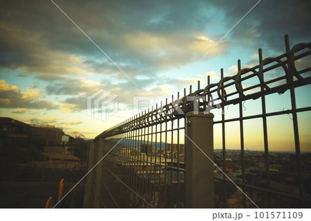 柵越しにみる故郷の空 柵越しにみる故郷の空 101571109