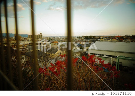 柵越しにみる故郷の空 柵越しにみる故郷の空 101571110