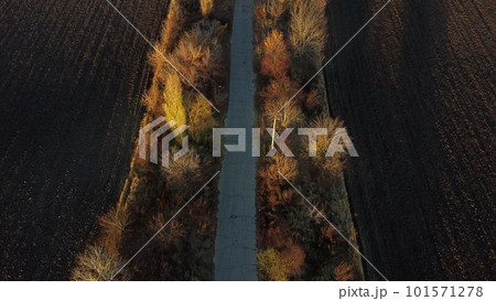 Beautiful landscape view old asphalt road with trees and shadows between large plowed agricultural fields of black soil on sunny autumn evening. Flying over dug agrarian fields of earth. Aerial drone Beautiful landscape view old asphalt road with trees and shadows between large plowed agricultural fields of black soil on sunny autumn evening. Flying over dug agrarian fields of earth. Aerial drone 101571278