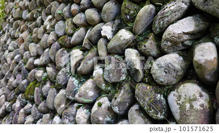 丸い同じくらいの大きさの石を積んだ苔むした石垣 8986 丸い同じくらいの大きさの石を積んだ苔むした石垣 8986 101571625