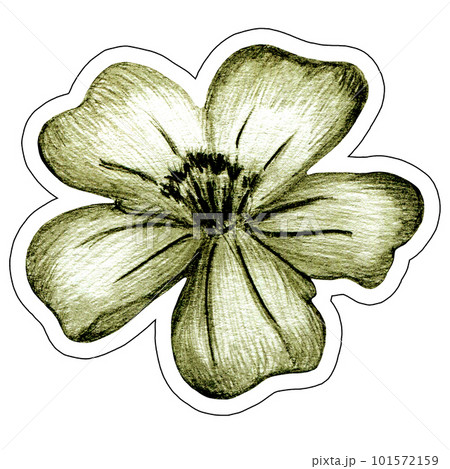 Marigold Flower Sticker Illustration. Hand Drawn Isolated Colorful Floral Sticker. 101572159