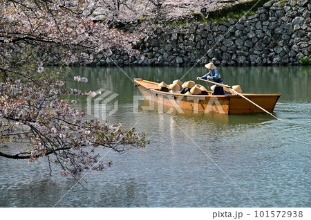 姫路城の水堀(城壁)と桜と観光船 姫路城の水堀(城壁)と桜と観光船 101572938