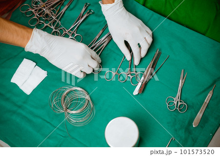 a vet's hands taking some of surgical equipment 101573520