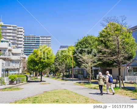 郊外の住宅地 新緑の生活道路 郊外の住宅地 新緑の生活道路 101573756