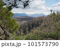 Mountain landscape, mountain pine on the stone with beautiful view on mountain cover with snow. 101573790