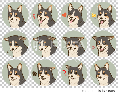 Corgi facial expression icon set (tricolor) 101574009