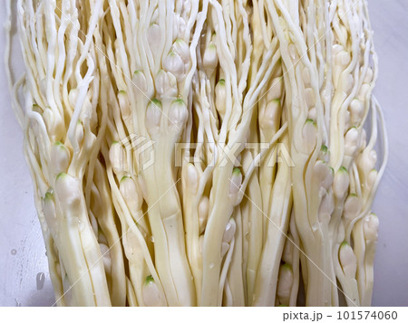 ビンロウの花　食材 101574060