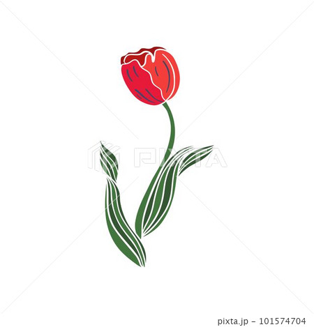 Flower flat vector icon (tulip, crocus, snowdrop), flowers line drawing art. Vector illustration Flower flat vector icon (tulip, crocus, snowdrop), flowers line drawing art. Vector illustration 101574704
