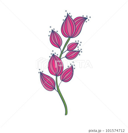 Beautiful romantic botanical collection with flowers, leaves, floral bouquets, flower compositions. Beautiful romantic botanical collection with flowers, leaves, floral bouquets, flower compositions. 101574712