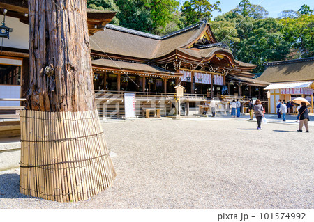【奈良県】桜井市 大神神社 (2023/03/29撮影) 【奈良県】桜井市 大神神社 (2023/03/29撮影) 101574992