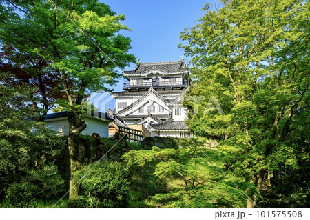 岡崎城の再建天守 101575508