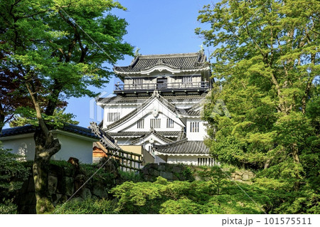 岡崎城の再建天守 101575511