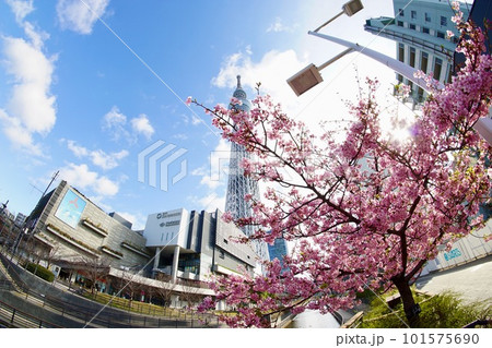 東京スカイツリー 101575690