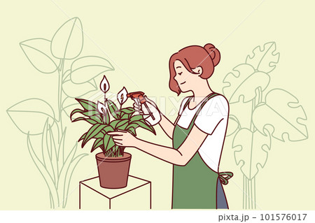 Woman gardener from greenhouse takes care of house plants by spraying leaves with fertilizer 101576017