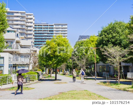 郊外の住宅地　新緑の生活道路 101576254