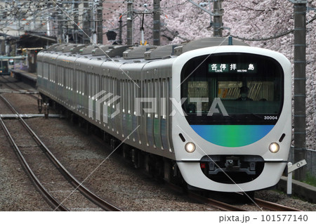 桜と西武新宿線30000系（各停-10両編成：西武新宿⇔拝島）の写真素材