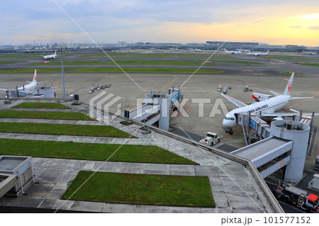 夕暮れの羽田空港 101577152