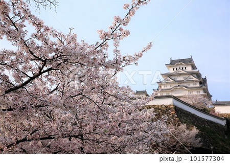 姫路城 101577304