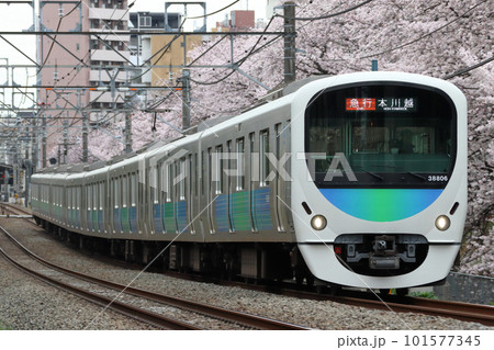 桜と西武新宿線30000系（急行-8両編成：西武新宿⇔本川越）の写真素材